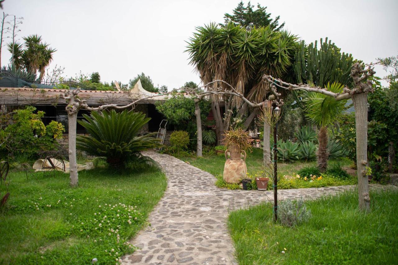 B&B Il Giardino Arbus Exteriör bild